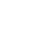 Privacy shield icon representing data protection